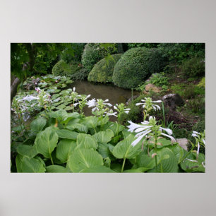Póster Zen Garden poster with white borders