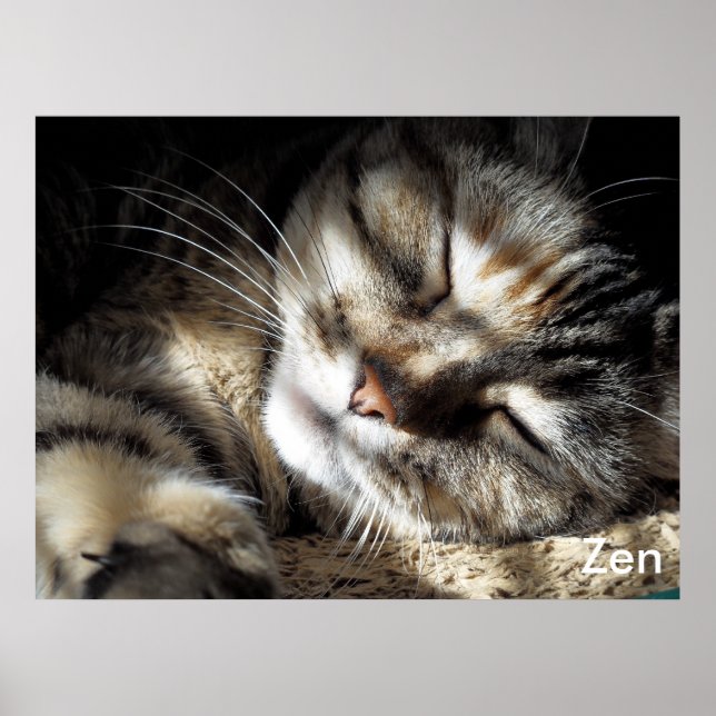 Póster Zen Kitty (Frente)