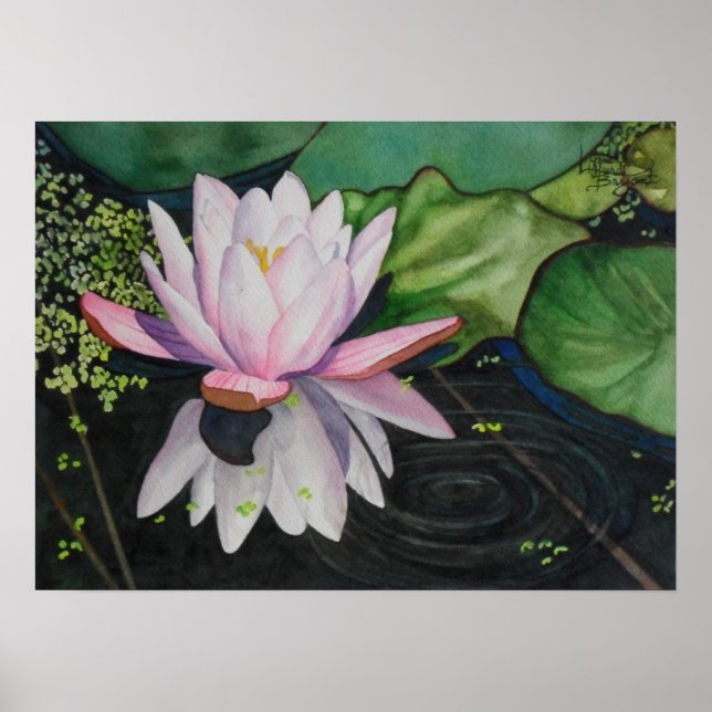 Póster Zen Lilly (Frente)