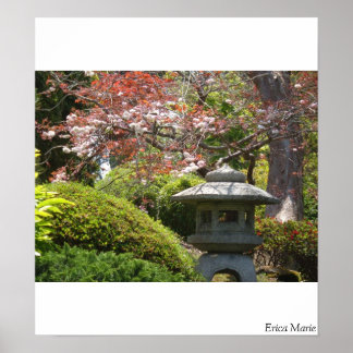 Póster Zen Moment en SF