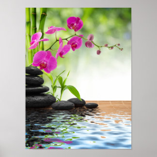 Póster zen, paz, orquídea rosa, hermosa, EPA, curación, y