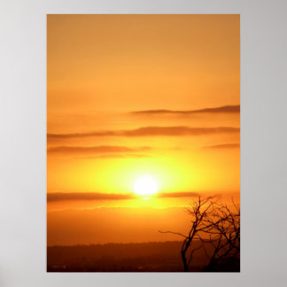 Póster Zesty SUN