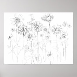 Póster Zinnia Cosmos Flores Lápiz de dibujos botánicos