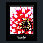 Póster Zinnia Pop Poster<br><div class="desc">¡Hermoso poster de arte digital fotográfico que te encantará colgar en tu casa! Este poster presenta una flor de zinnia en rojo,  rosa,  blanco,  negro y amarillo en un brillante estilo de arte pop. Elige tu tamaño y papel favoritos. www.kdstewart.net</div>
