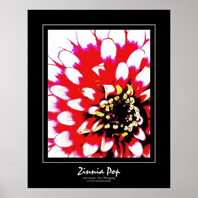 Póster Zinnia Pop Poster (Frente)