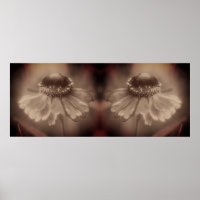Zinnia suave Daisy Flor Sepia Vintage Resumen
