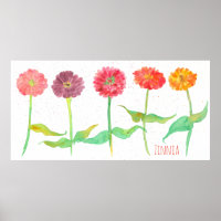 Zinnia Watercolor Flowers