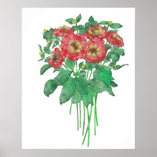 Póster Zinnias