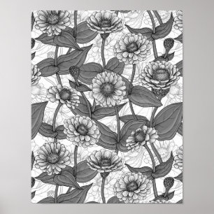 Póster Zinnias, monocromo en blanco