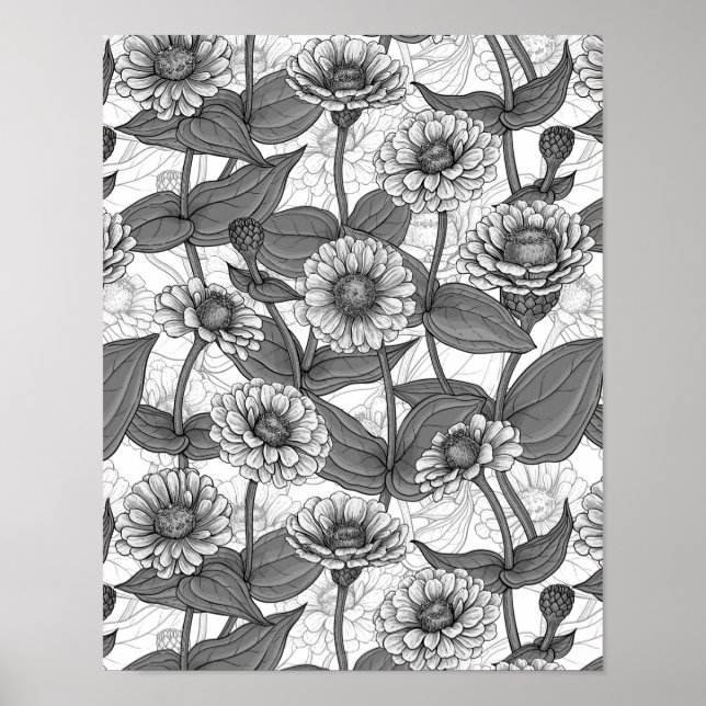 Póster Zinnias, monocromo en blanco (Frente)