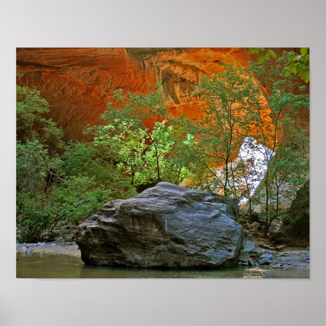 Póster Zion National Park Rock in the Virgin River (Frente)