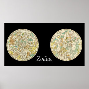 Póster Zodiac