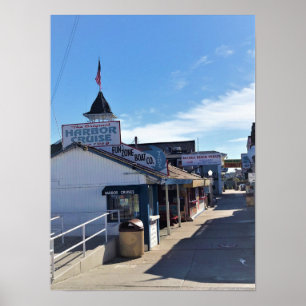 Póster Zona de diversión de Balboa, Newport Beach, Califo