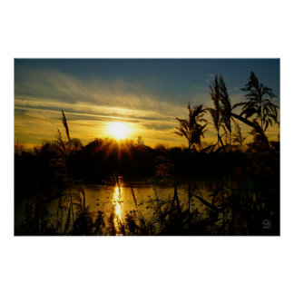 Póster Zonsondergang bij een meertje met rietpluimen.