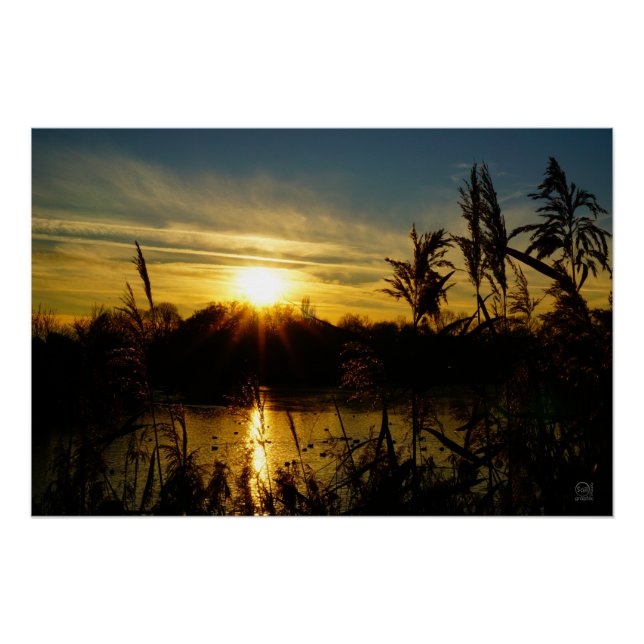 Póster Zonsondergang bij een meertje met rietpluimen. (Anverso)