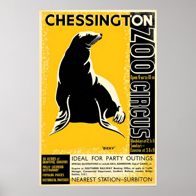 Póster Zoo Chessington (Foca) (Frente)
