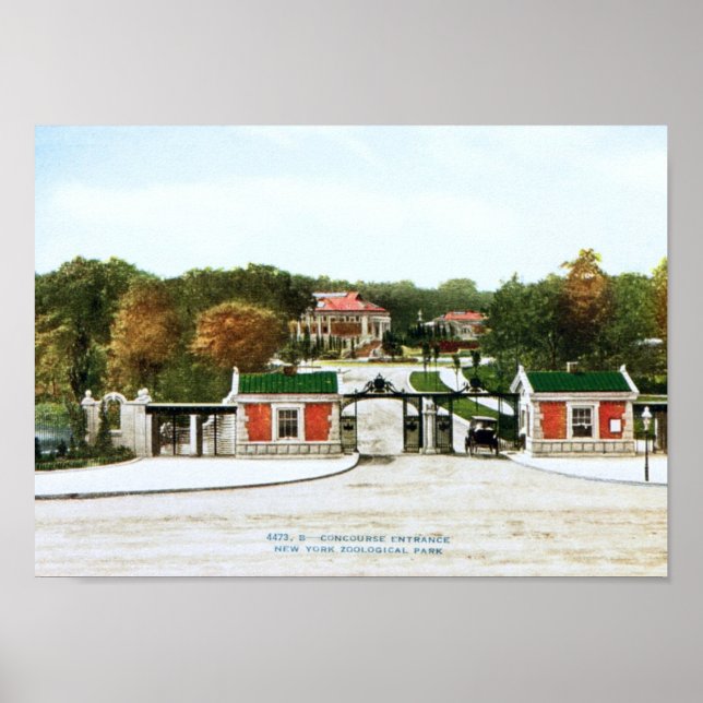 Póster Zoológico de Bronx, Nueva York (Frente)