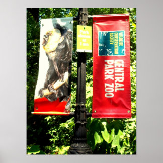 Póster Zoológico de Central Park