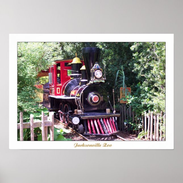 Póster Zoológico de Jacksonville (Frente)