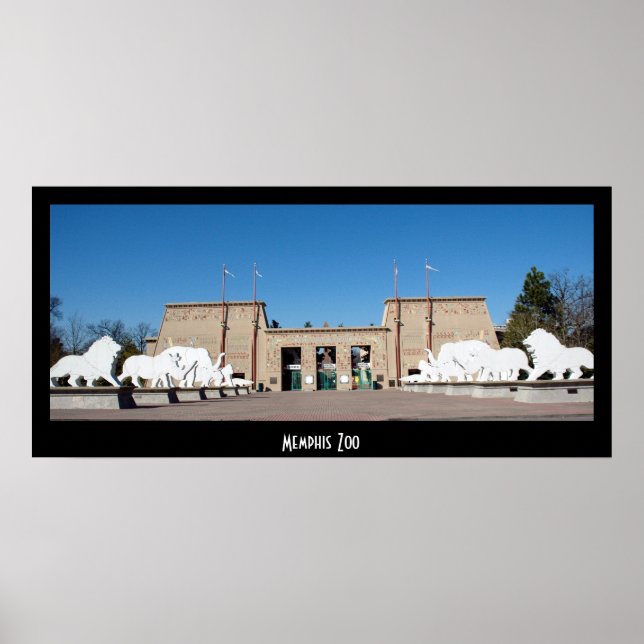 Póster Zoológico de Memphis (Frente)
