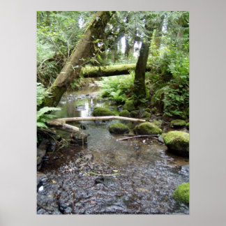 Póster Zorro Creek, Rainier, Oregón.