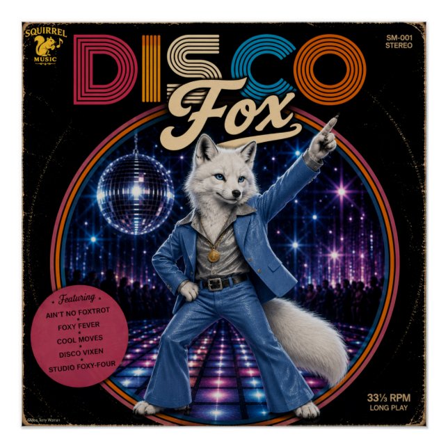 Póster Zorro de discoteca (Anverso)