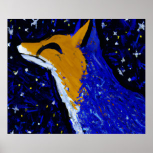 PÓSTER ZORRO DE NOCHE ESTRELLADA II VIGILIA AL CLARO DE