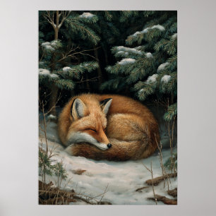 Póster Zorro durmiente en el bosque invernal