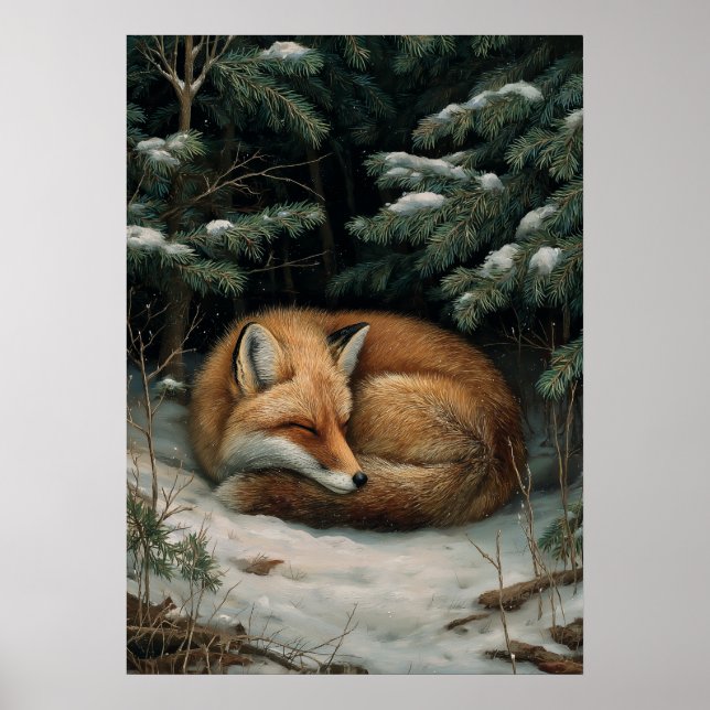 Póster Zorro durmiente en el bosque invernal (Frente)