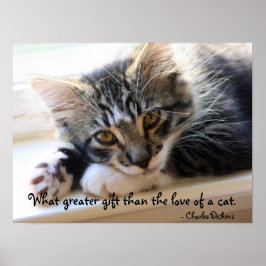 Póster Zorro Kitten Por El Poster De La Ventana