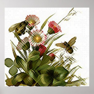 Póster Zumbido Zumbido y Floral
