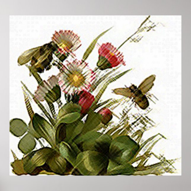 Póster Zumbido Zumbido y Floral (Frente)
