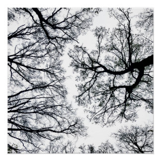 Póster Zwollenaar Fractal