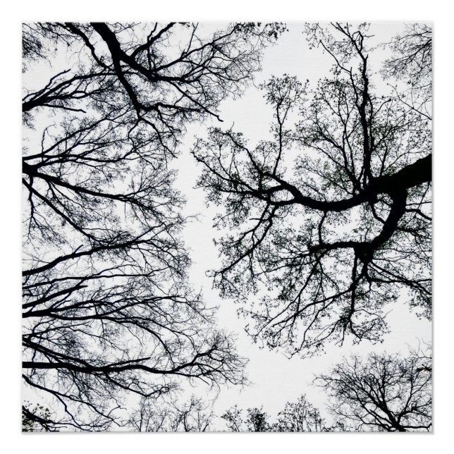 Póster Zwollenaar Fractal (Anverso)