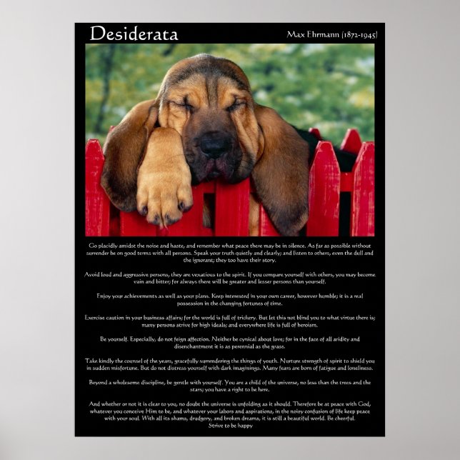 Posters Bloodhound de Desiderata (Frente)