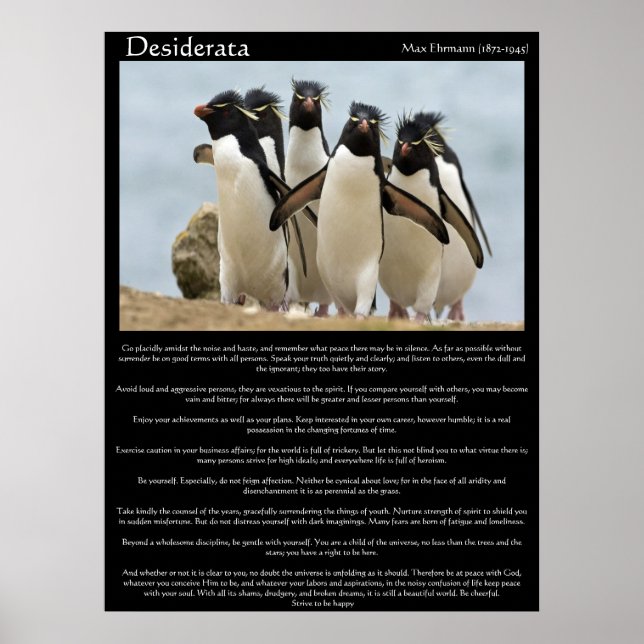 Posters caminantes de Desiderata Penguins (Frente)