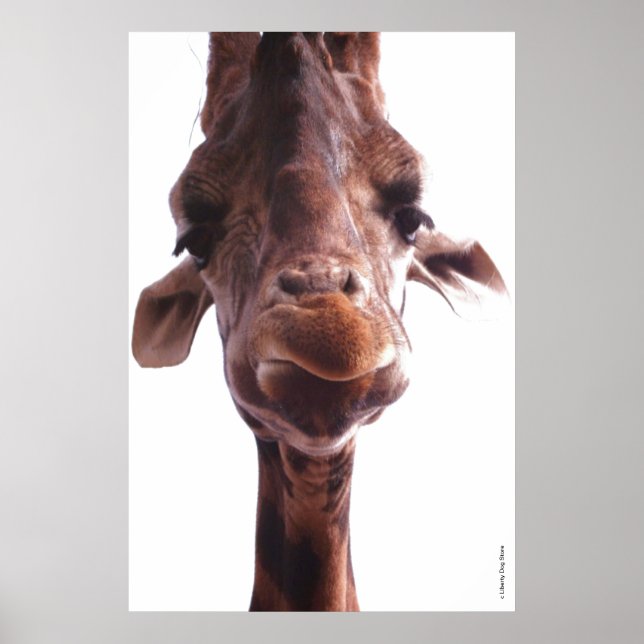 POSTERS COLOSSALES - CARA GIRAFFE - FOTO HUMOR (Frente)