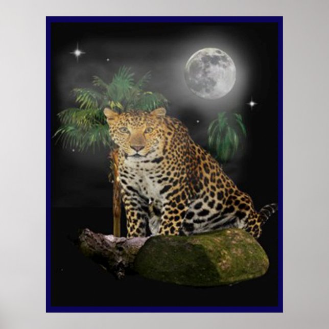 Posters de animales (Frente)