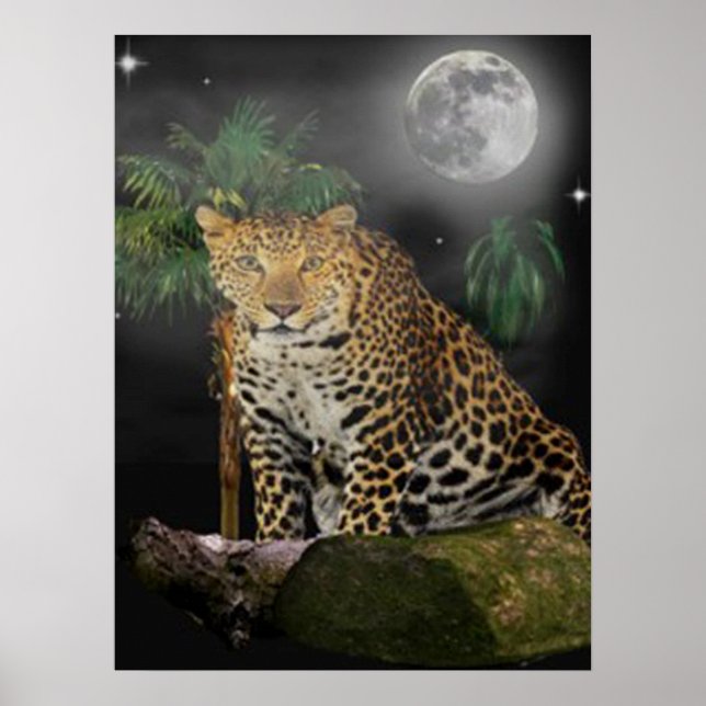 Posters de animales (Frente)