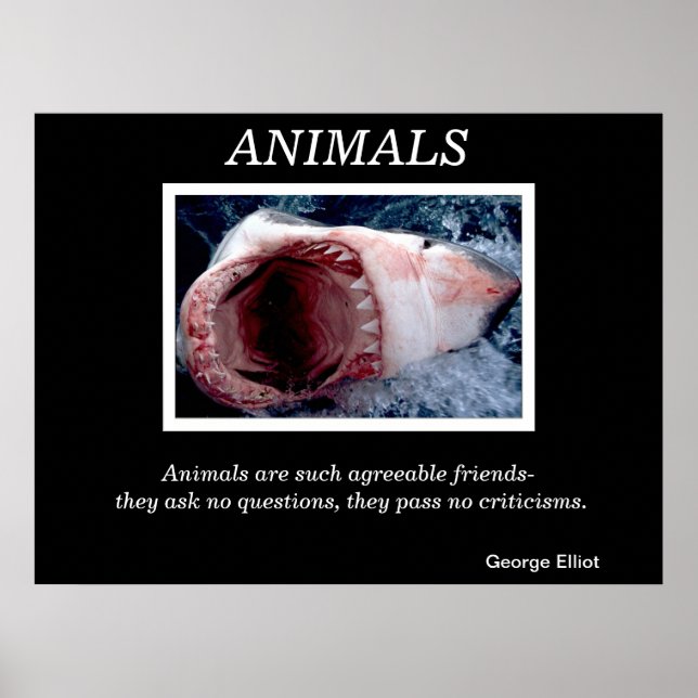Posters de animales 28 (Frente)