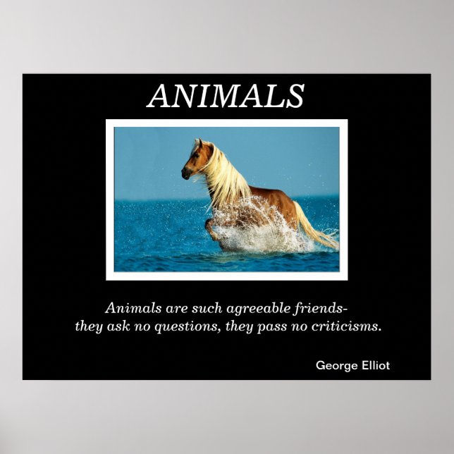 Posters de animales 32 (Frente)