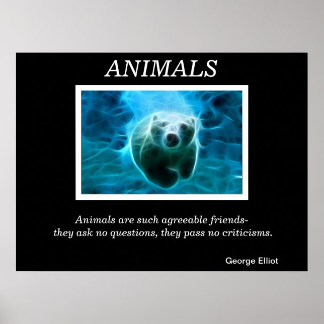 Posters de animales 32 (Frente)