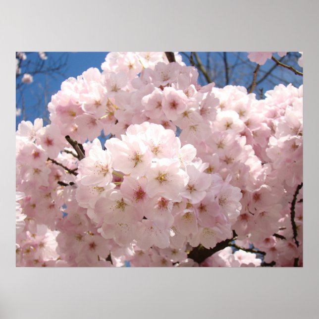 Posters de arte floral de primavera con flores de  (Frente)