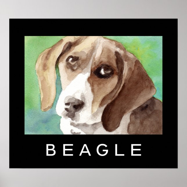 Pósters de Beagle (Frente)