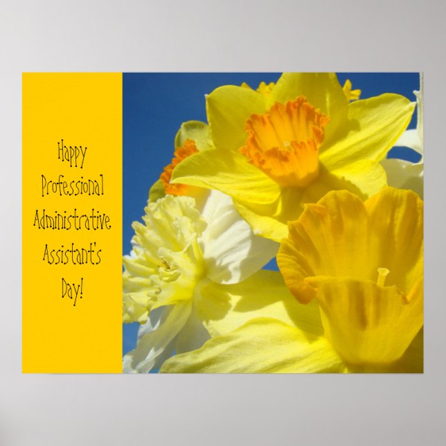 Posters de celebración Felices asistentes profesio (Frente)