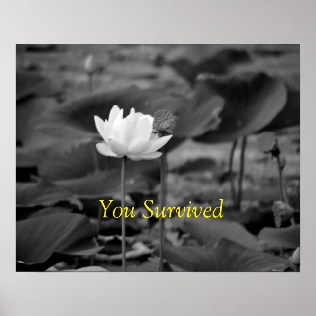 Posters de Defensa de la Violencia Doméstica (Frente)