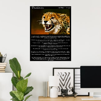 Posters de Desiderata 13