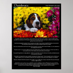 Posters de Desiderata 6