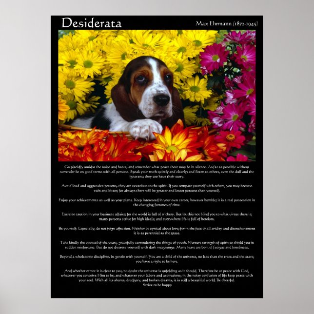Posters de Desiderata 6 (Frente)