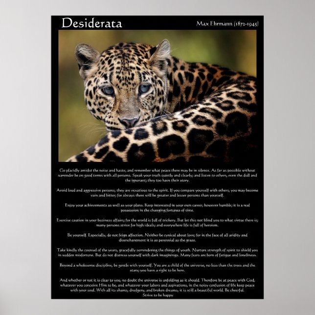 Posters de Desiderata 8 (Frente)